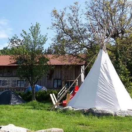 Schauberger Hut Mountain Hut فالدكيرشن المظهر الخارجي الصورة